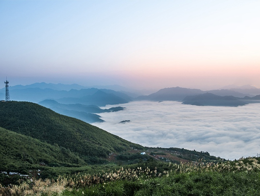 云台茶旅